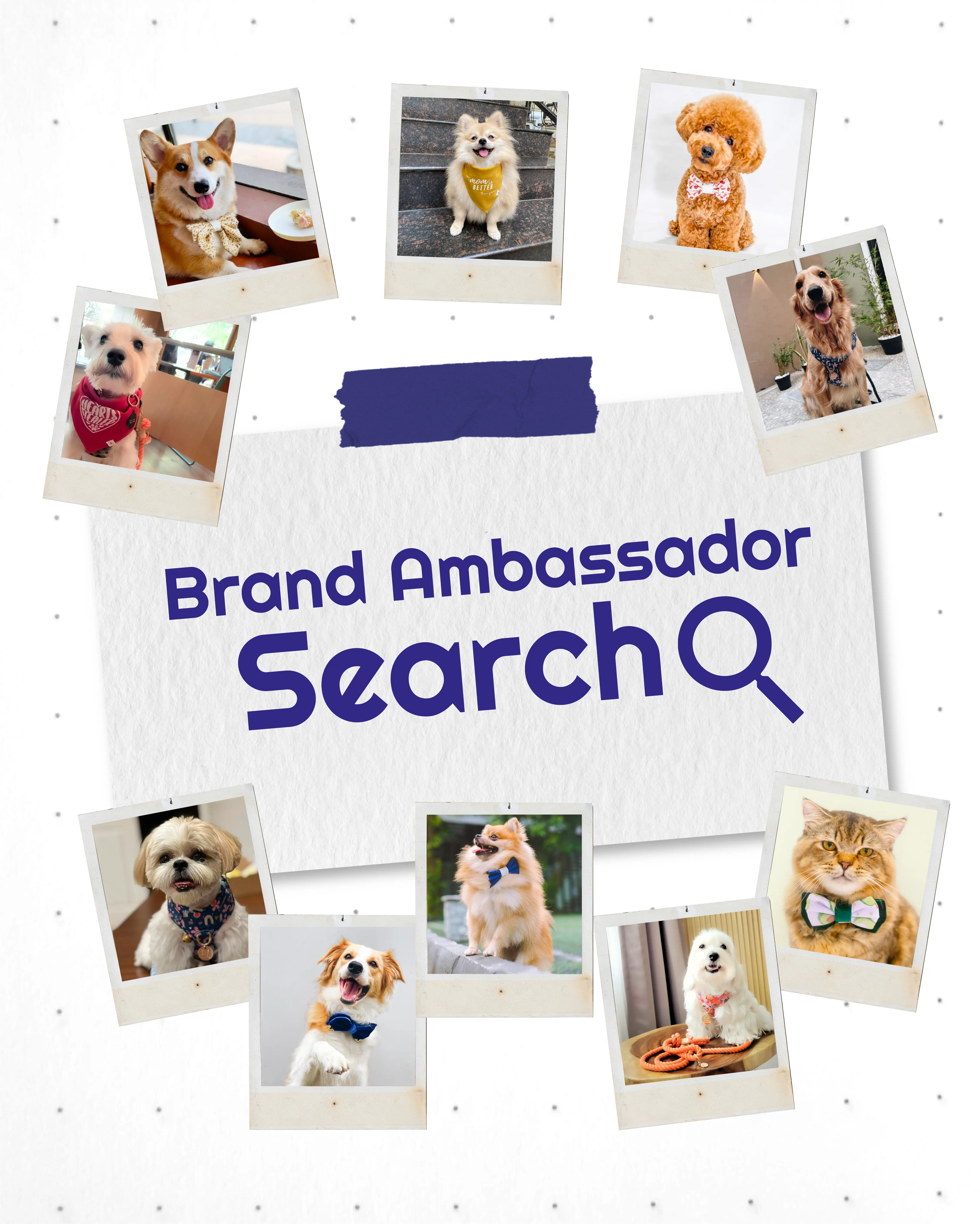 offline media flyer sample from swft